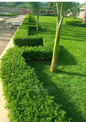 Landscaping