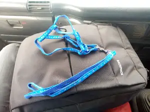Puppy Dogleash- Chiwawa