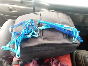 Japanese Dog Leash 