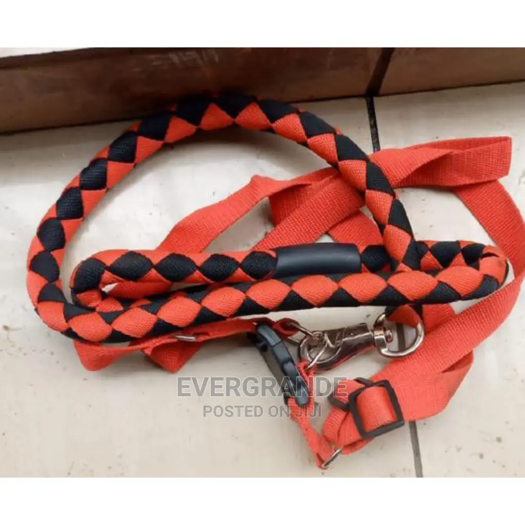 Evergrande Dog Leash