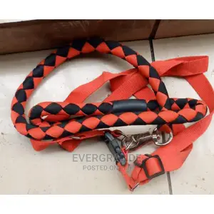 Evergrande Dog Leash
