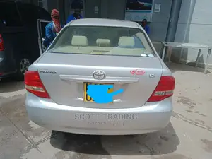 Axio 2008 Front Windscreen