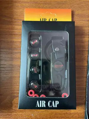 Tire Valve Caps With Key Holder