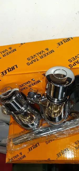Urinal Flash Valve