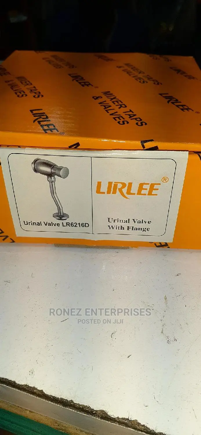 Urinal Flash Valve