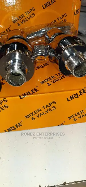Urinal Flash Valve