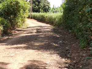 2acres Karatina/Mwanda Coffee Area