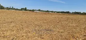 Prime Plots for Sale in Royalton Annex in Eldoret
