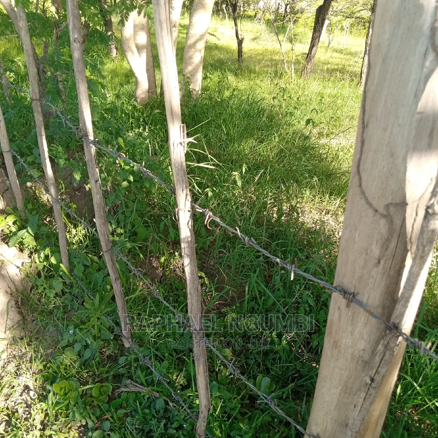 Mumbuni 100*100 Plot