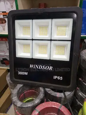 300W Floodlights Windsors