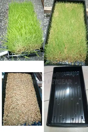 High Quality Plastic Hydroponic Trays