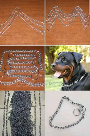 Stainless Steel Dog Choke Chain