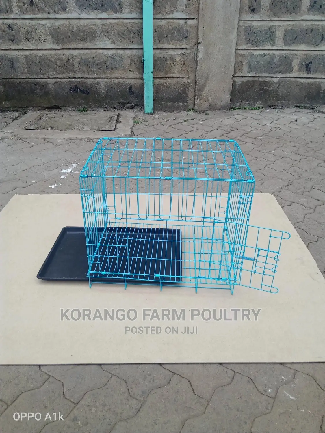 Both Rabbit Dogs""Cages