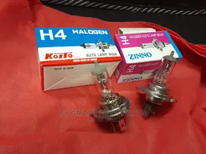 Headlight Bulbs