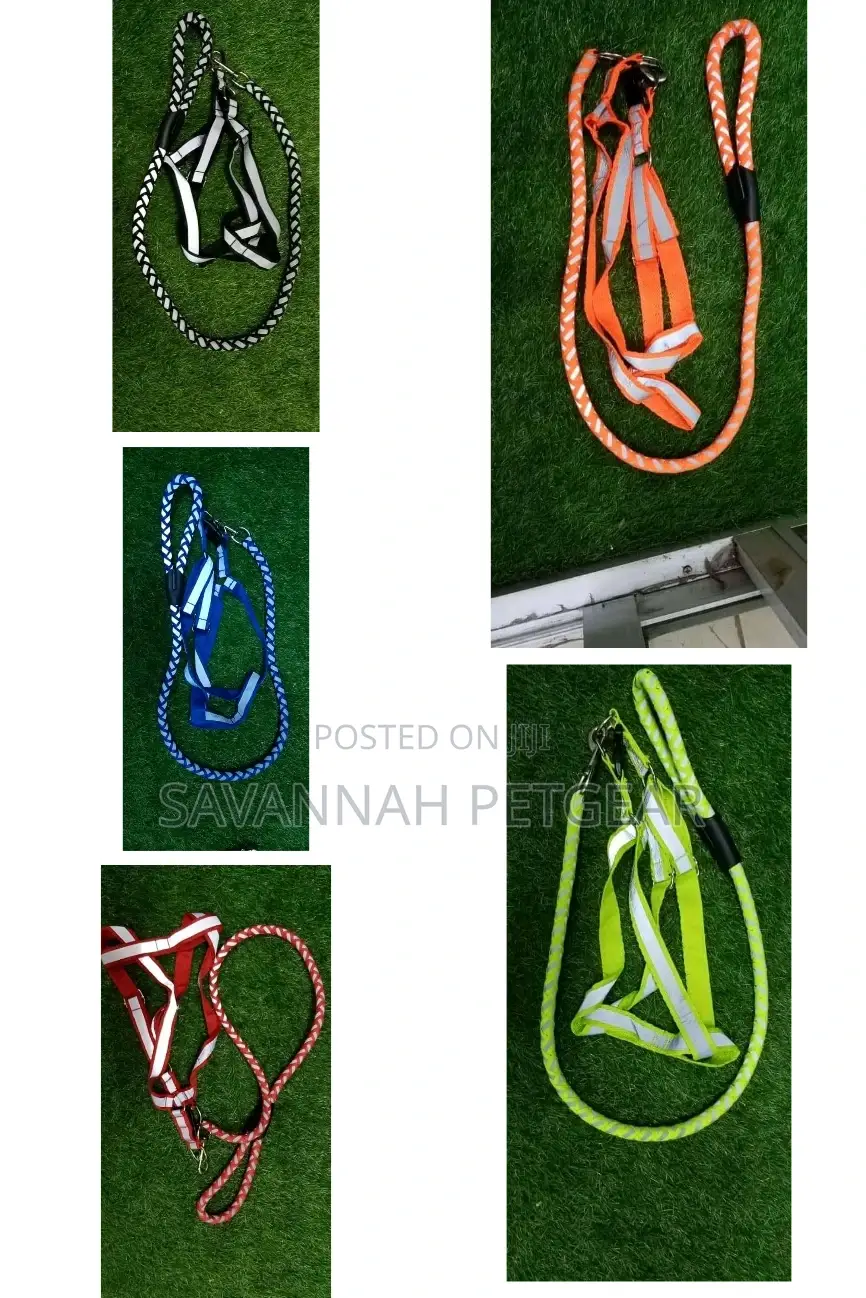 Dog Leash Harness Combo With Reflective Night Visibility