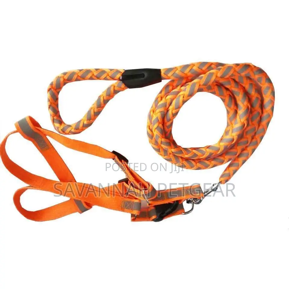 Dog Leash Harness Combo With Reflective Night Visibility