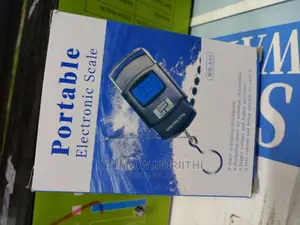 Efficient Portable Electronic Scale