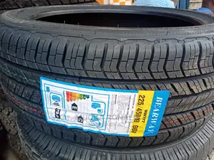 225/45r19 Bearway Tyre
