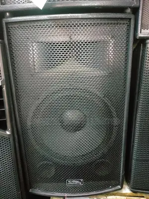 15 Inch Sound King Speaker