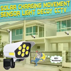 Solar Sensor Motion Light