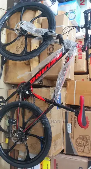 Adult's BIKE With GEAR