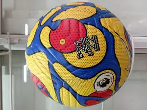 Premier League Winter Football Ball