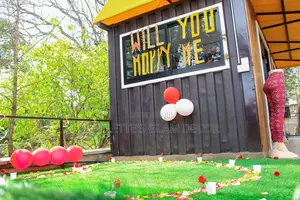 Wedding Engagement/Proposal Decoration Services