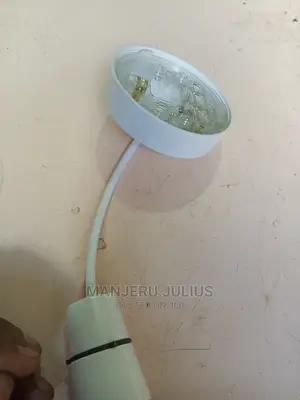 Ceiling Rose
