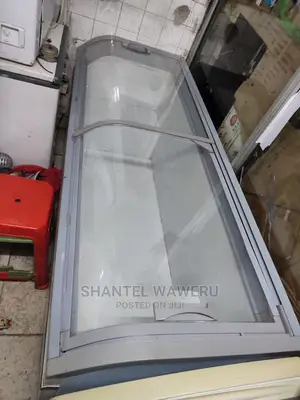 Display Freezer 700 Litres