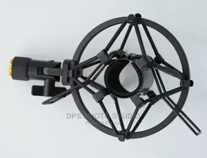 Mircophone