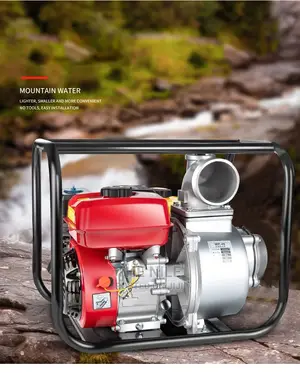 Hot Water Selling Pump Mini