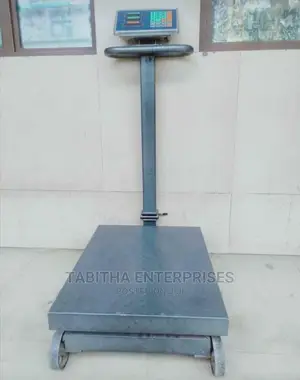 Commercial Digital Weighing Scale(Maximum 600kg)