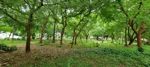 1/4 Plots on Sale in La-Marina Creek Side Mtwapa