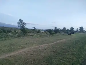 Narumoru/Nanyuki Main Tarmac Quarter Plot