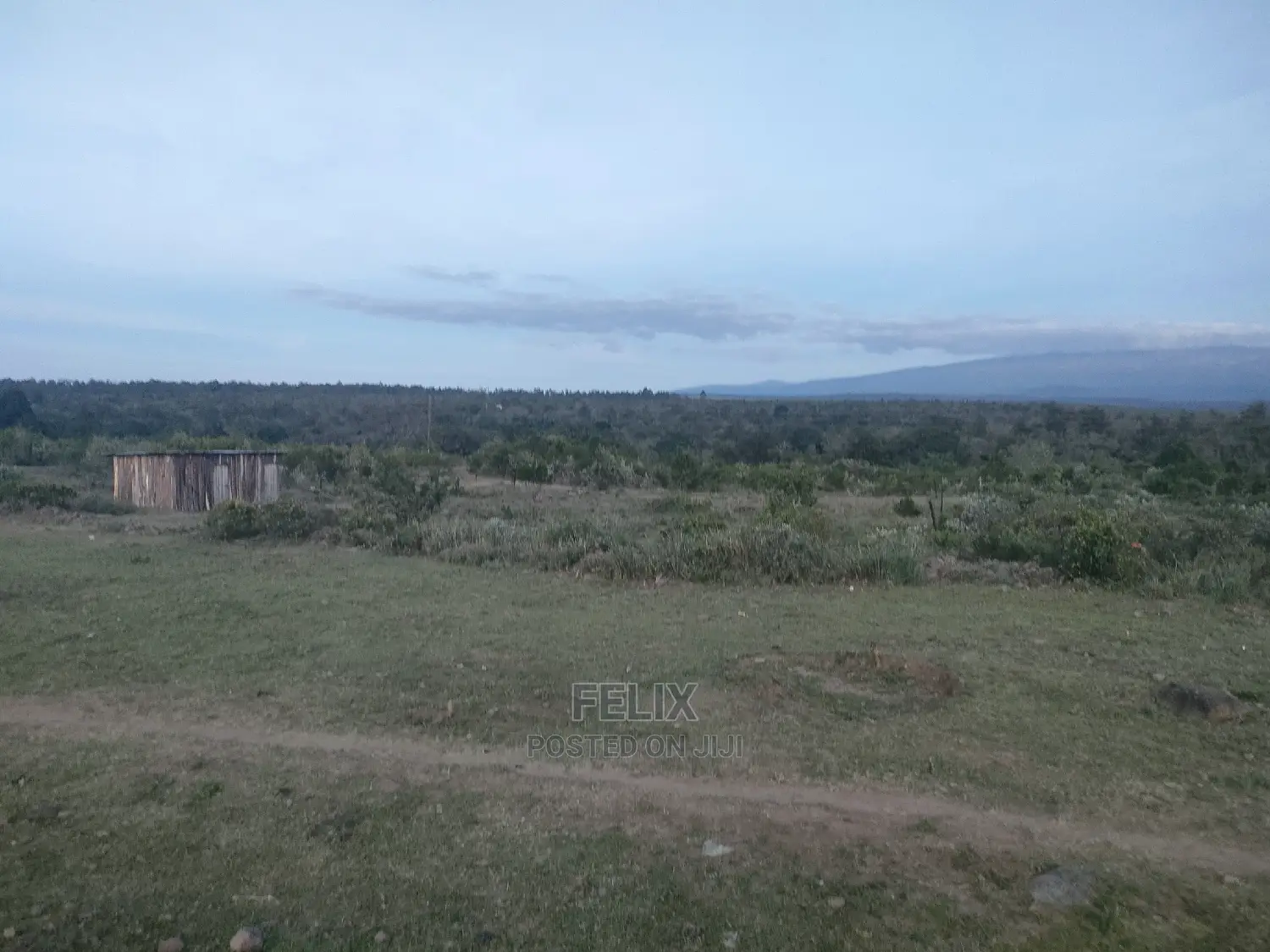 Narumoru/Nanyuki Main Tarmac Quarter Plot