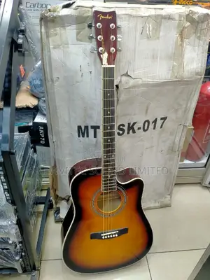 Semi Acoustic Guitar 41