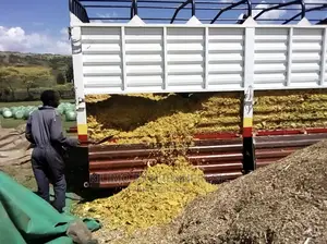 Feedlot / Fattening Silage 100kg Per Bale :Quoted 10T.