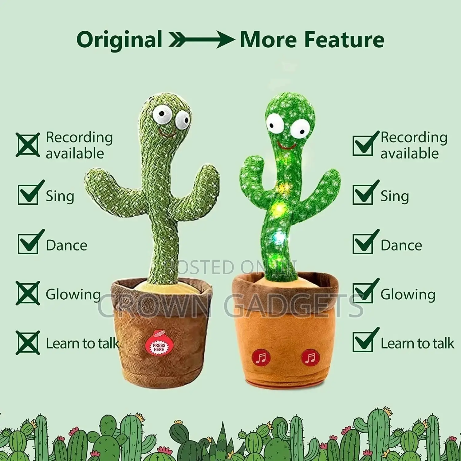 Excellent Dancing Cactus for Kids