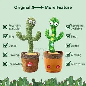 Excellent Dancing Cactus for Kids
