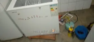Fridge Repair and Service