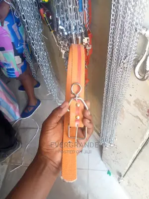 Durable Leather Dog Collar