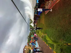 Zipline, Zip Line Proffessional Design and Construction