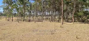 Prime 1 Acre for Sale in Sogomo Opposite Dl Farm in Eldoret