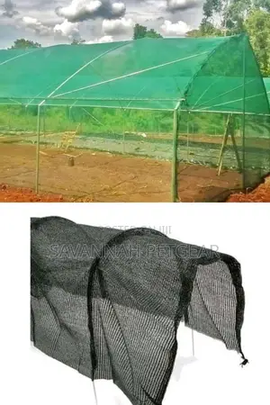 High Quality Agricultural Shade Net Tree Seedlings Nursery