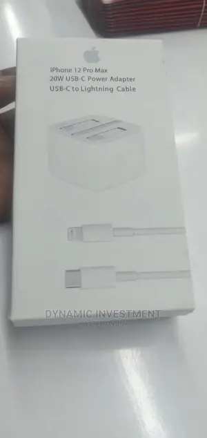 iPhone 12 Pro Max Charger (20W)
