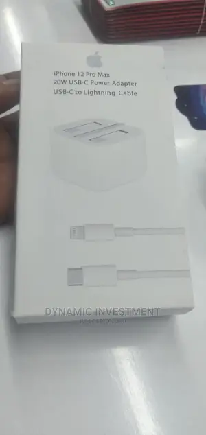 iPhone 12 Pro Max Charger (20W)