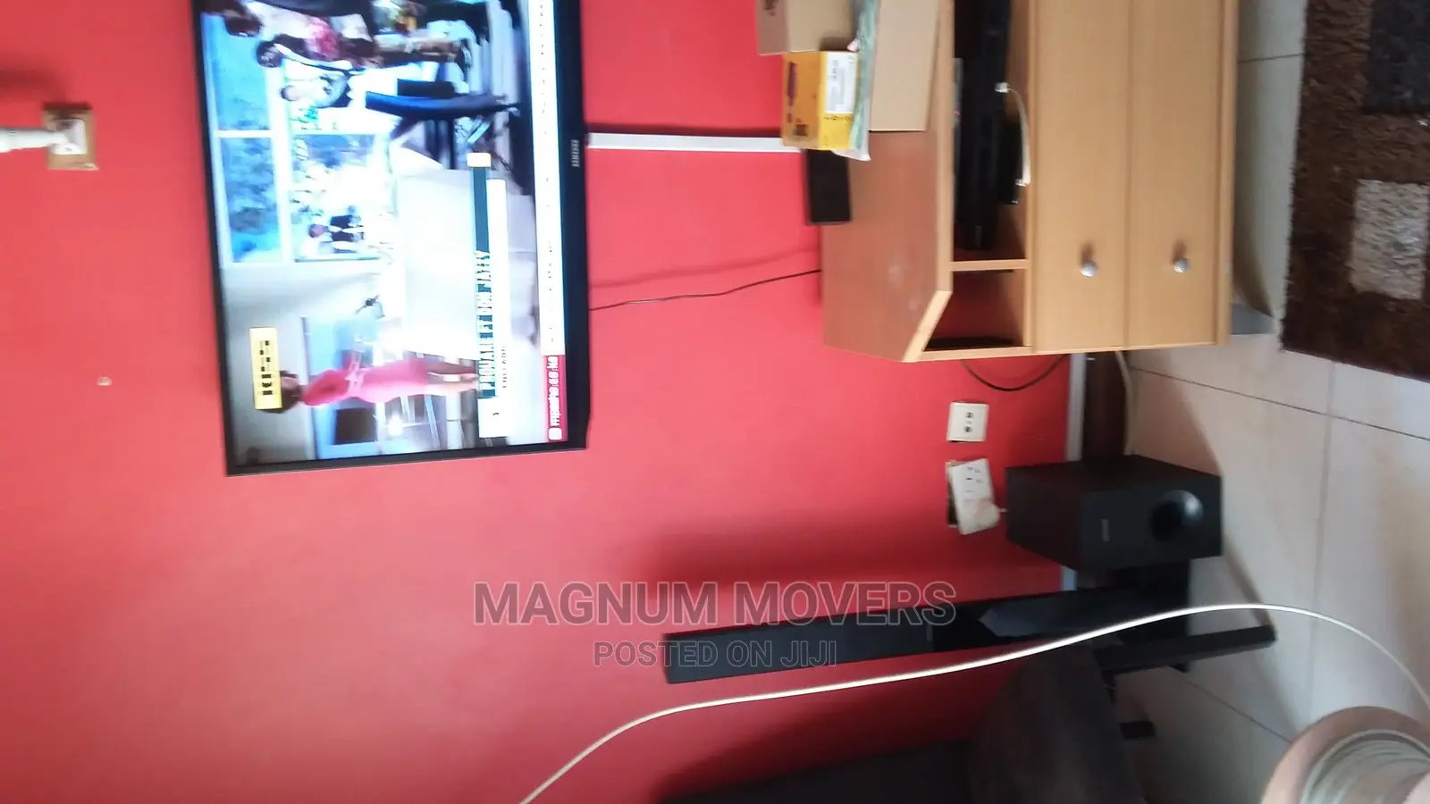 Professional Moving and Storage Services