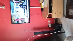 Professional Moving and Storage Services