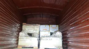 Professional Moving and Storage Services