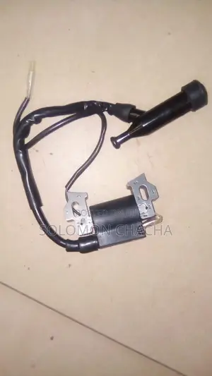 Gx 160 Ignition Coil